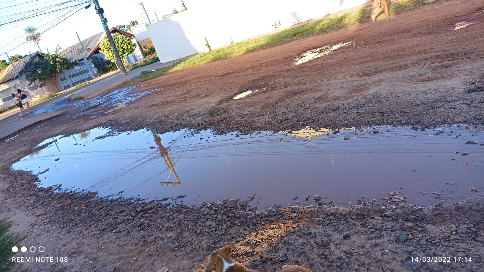 Neno Razuk solicita pavimentação asfáltica em ruas do Jardim Uirapuru na Capital